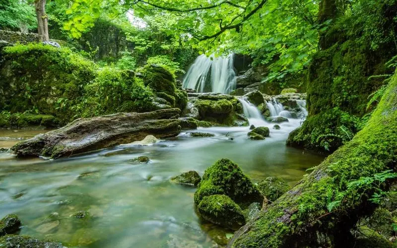 高性能高端自动化